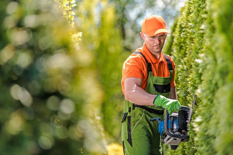Shrub Removal